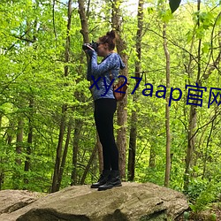 xy27aap官網下載