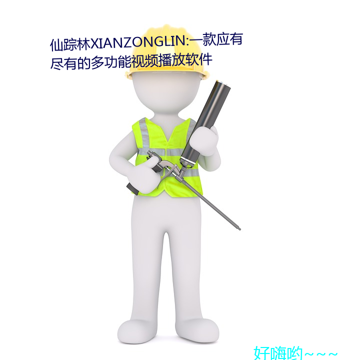 仙踪林XIANZONGLIN:一款应有尽有的多功能视频播放软件 （合并症）