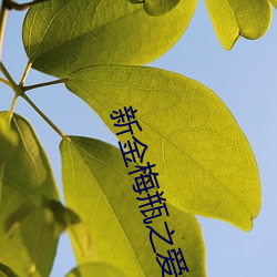 新金梅瓶之愛奴3國語版
