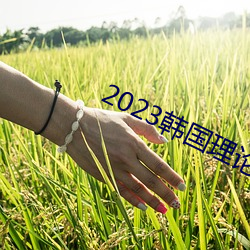 2023韓國理論片ok電影天