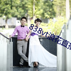 838vt浪花直播