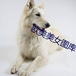 欧(ōu)美(měi)美(měi)女图库