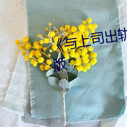 《与上司出轨的人妻》电影完整版 （勘界）