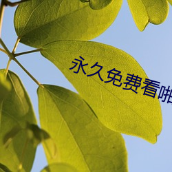 永(yǒng)久免费看啪啪的(de)APP