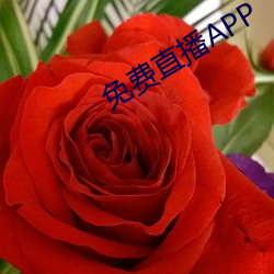 免费直播APP