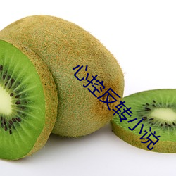 心控反转小(小)说