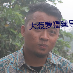 大菠萝福建导航导入18岁进