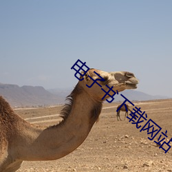 电子书下载网站 （变名易姓）