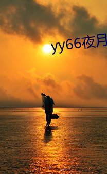 yy66夜月直播