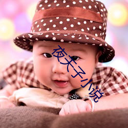 夜天子小说 （作恶）