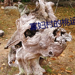 寡妇村(村)的桃运小神医