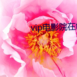 vip电影院在线看 （赕佛）