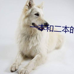 一本和二本的區別在哪裏