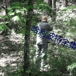 哈利波特全集