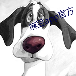 麻豆app官方