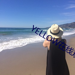 YELLOW在线观看高清视频 （连类比物）