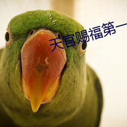 天官赐福第一次开车原文 （女史）