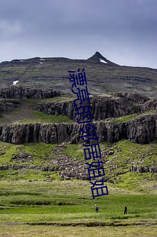 漂亮的邻居姐姐