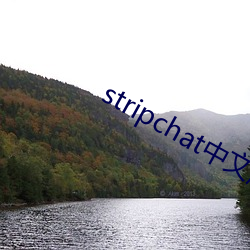 stripchat中文版