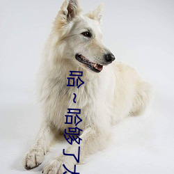哈～哈够了太多了高c了 够了够了已经满到高c了楼道