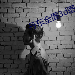 丹东全图3d图谜今天正版