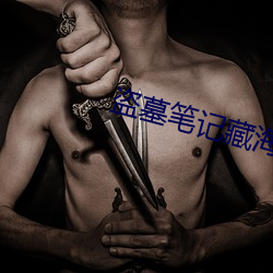 盗(盜)墓(墓)笔记(記)藏海花