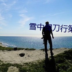 雪(雪)中悍刀行(行)第二季全(全)集免费