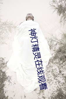 神(神)灯(燈)精(精)灵在线观看