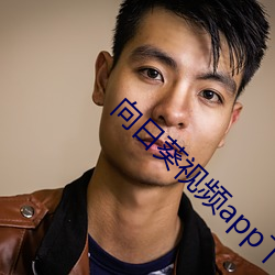向日葵视频app下安装无限看 （一：鸬兀