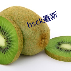 hsck最新