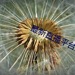最新(xīn)直(zhí)播(bō)平台分享(xiǎng)