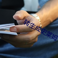 转生成史莱姆 （铢两悉称）