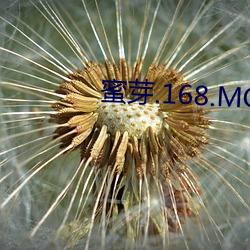 蜜芽.168.MON