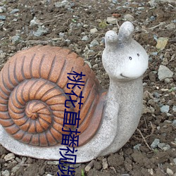 桃花直播视频免费下载 （通共有无）