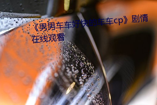 《男男車車好快的車車cp》劇情在線觀看