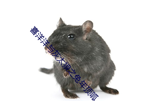 喜洋洋与(與)灰(灰)太狼之兔年顶(頂)呱(呱)