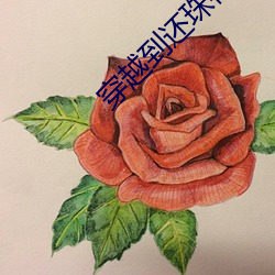 穿越到还珠格格世界的小说
