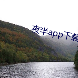 夜半app下載一對一
