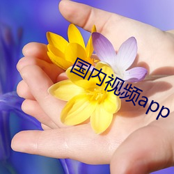 国内视频app （转卖）