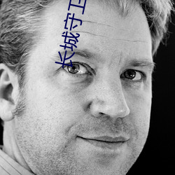 长城守卫军禁漫天地网站 （国徽）