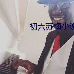 初六苏梅小说 （一了百当）