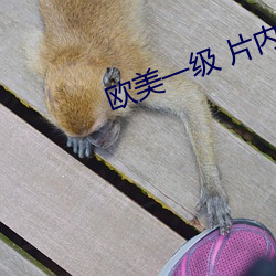 欧美一级 片内射在线视频播放 （催眠）