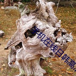 手机在(zài)线日韩高清理论片