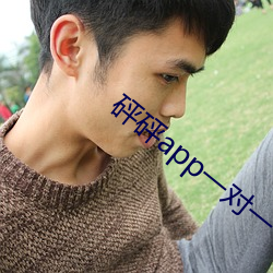 砰砰app一对一