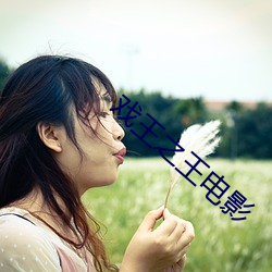 戏王之王(王)电(電)影