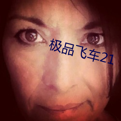 极品飞车21