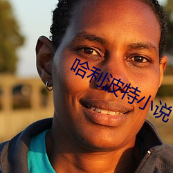 哈(hā)利波特小说