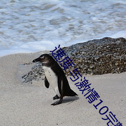 速度与激情10完整版在线播