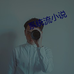 系統流小說