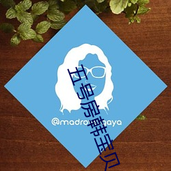 五号房韩宝贝